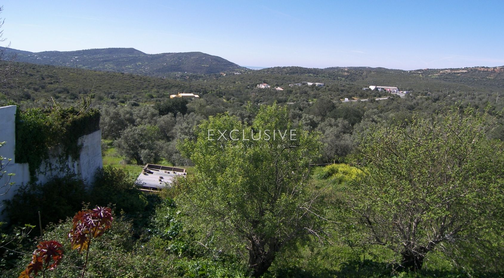 Plot in the centre of S. Bras de Alportel for Hotel, in algarve