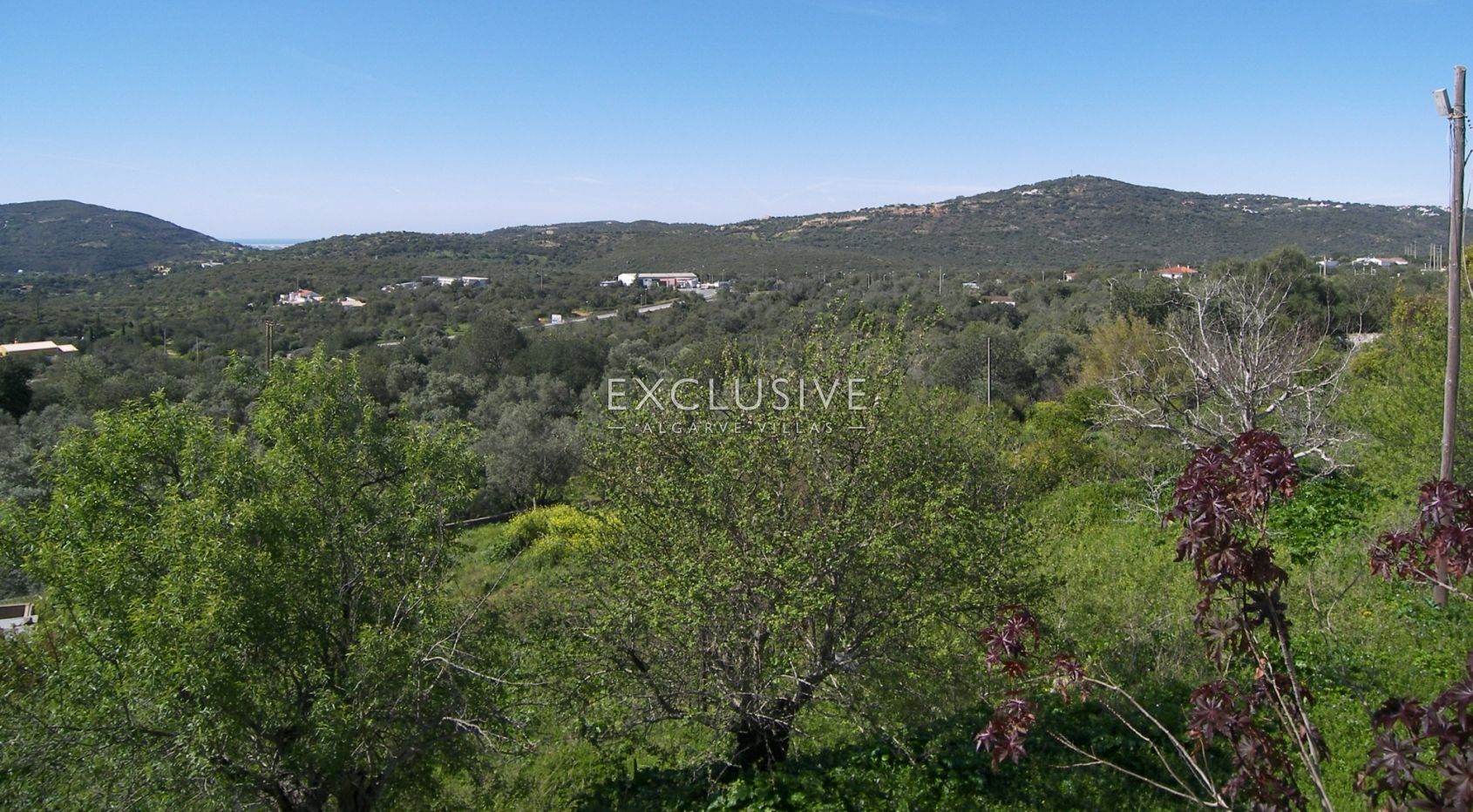 Plot in the centre of S. Bras de Alportel for Hotel, in algarve