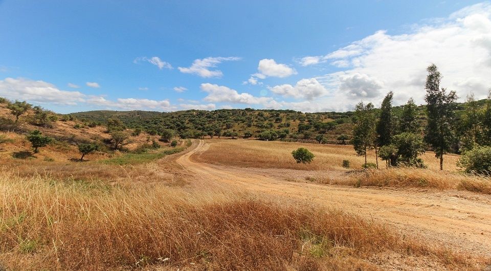 134 hectare plot with approved project for rural tourism hotel near Lagos, Algarve