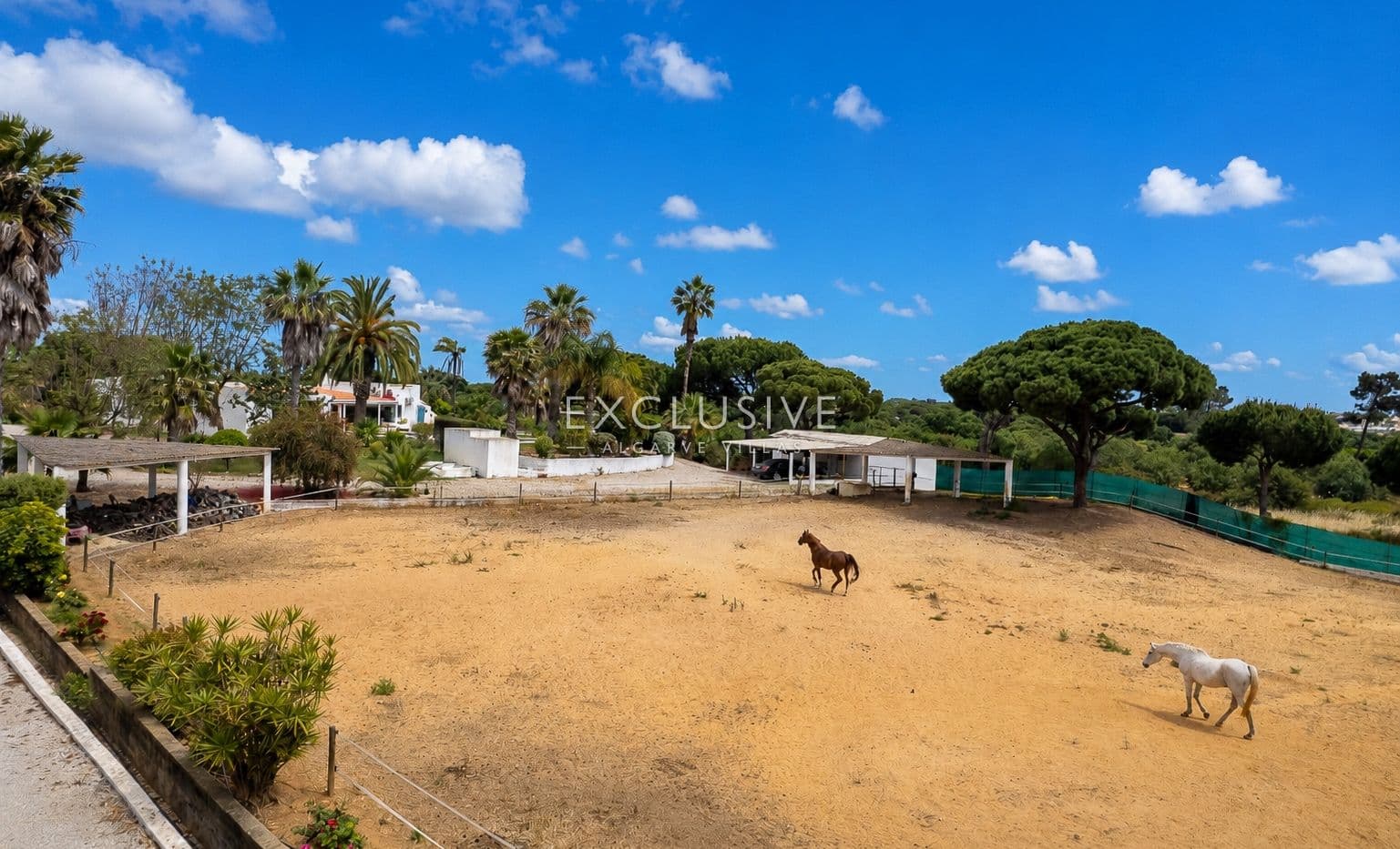Buy a Country Estate with Stables and Riding Arena in Quarteira, Algarve-2